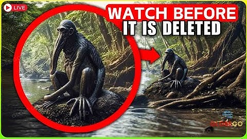 Drone Capture Something While Flying Over Jungle BUT WHEN ZOOM IN, No One Can Believe It Documentary