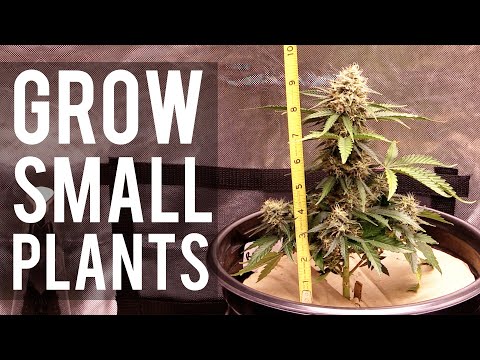 How To SLOW DOWN Plant Growth!