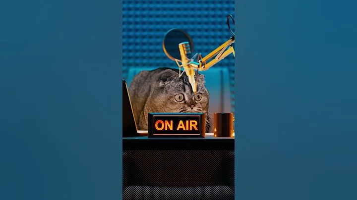 Watch the video about Funny shorts videos 28 #shorts #funny #viralvideo #shortvideo #tiktok #viralshorts #cat #animals