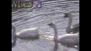 WDBJ-TV 7, Roanoke,VA-Signoff from Summer 1988