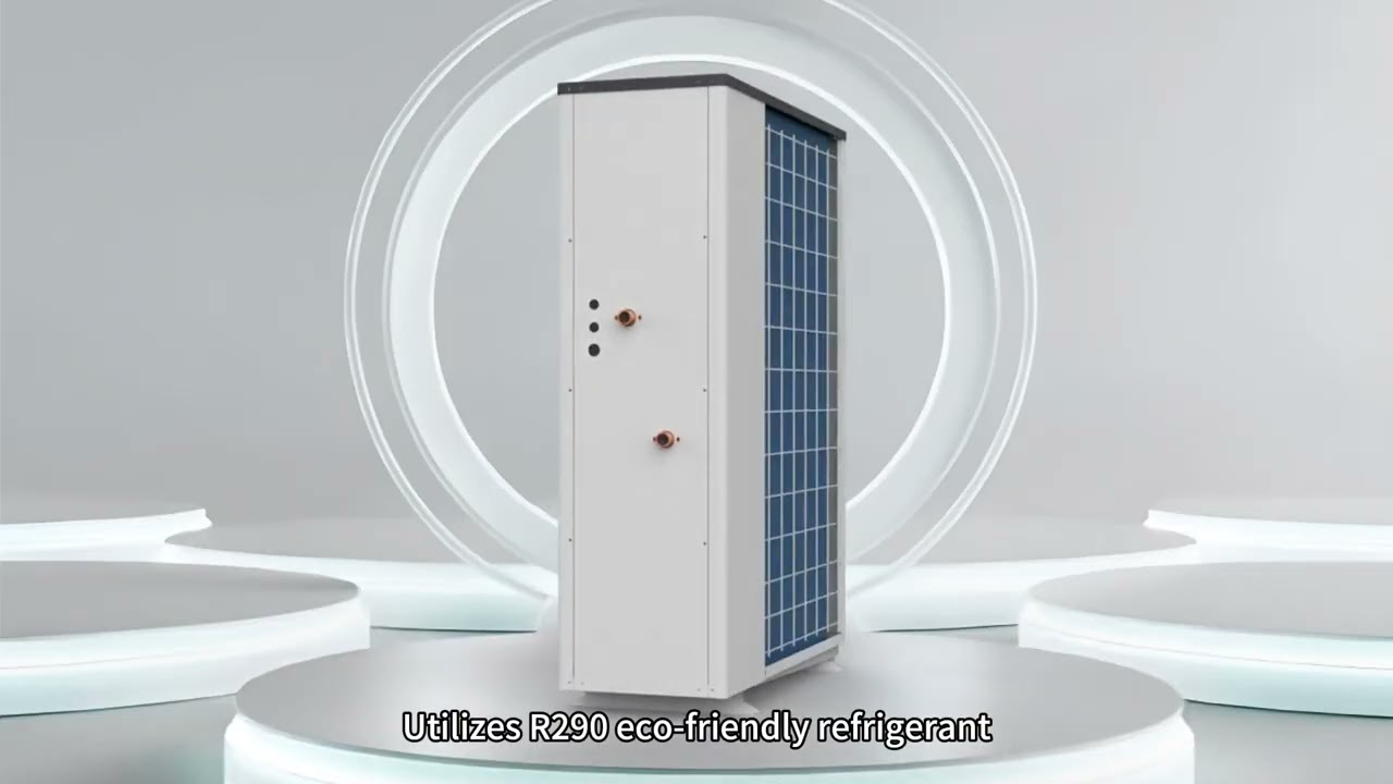 Macon R290 heat pump--New solution for low temperature