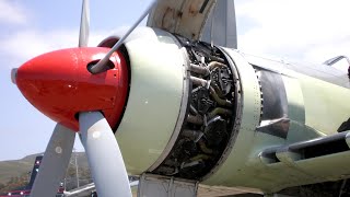 Old RADIAL ENGINES Cold Starting Up and Loud Sound 14