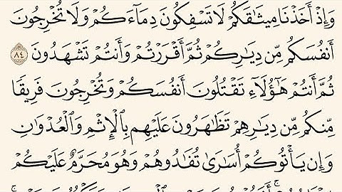 صفحه رقم 13 من القرآن الكريم بصوت الشيخ ياسر الدوسري