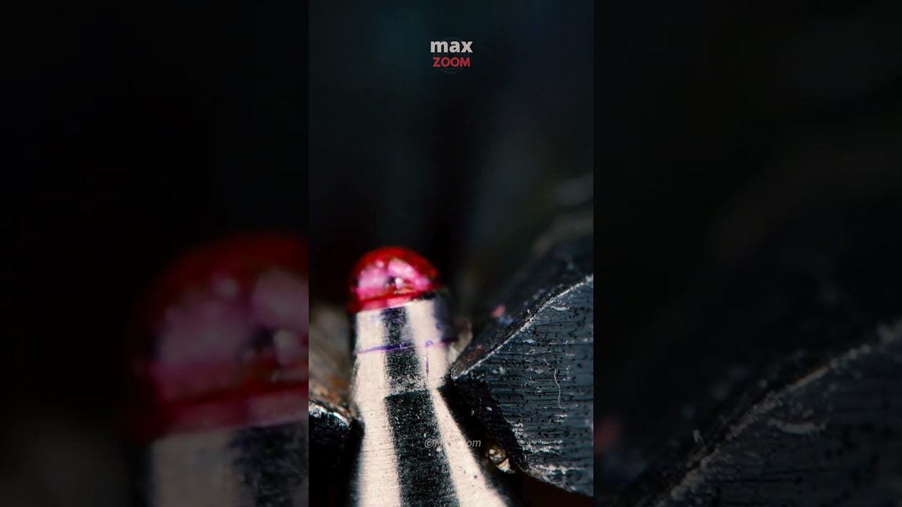 Bite Off The Pen S Ball Maxzoom Macro Ballpen