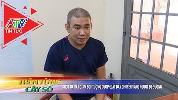 Khởi tố, bắt giam đối tượng cướp giật dây chuyền vàng người đi đường | ATV Tin tức