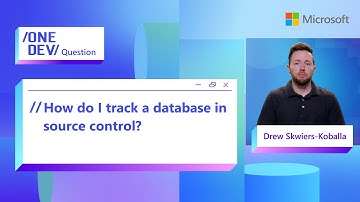 How do I track a database in source control?