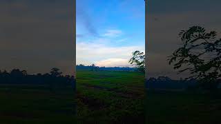 Sunrise Dibelakang Rumah sunrise