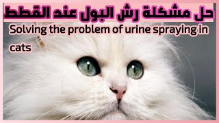 اليك حل مشكلة رش البول عند القطط Here is a solution to the problem of urine spraying in cats