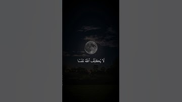 اكتب شيء تؤجر عليه ❤🌱 #القارئ ماهر معيقلي