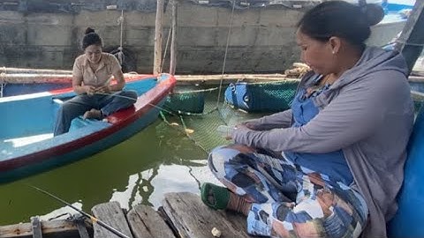 Câu cá giải trí trên bè ! Cá ăn lia lịa giật đã tay ! | | Như Phạm cuộc sống Cần Giờ |