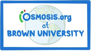 Osmosis.org at Brown University in Providence, RI, USA