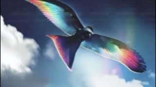 David Archuleta - UP (Official Lyric Video)