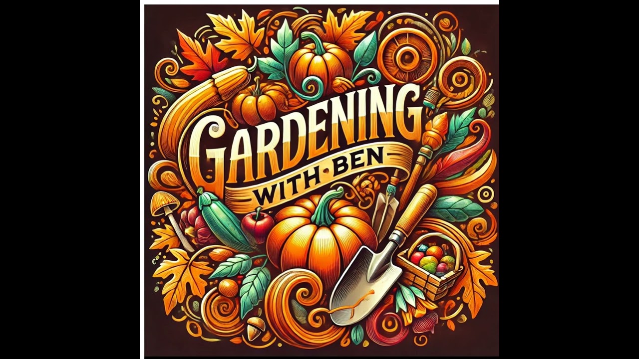 🎥 ✅ 🌱 Allotment Garden Update 🌿 | Our Latest Activities & Gardening Podcast 🎧