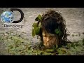 Discovery Channel (FORBIDDEN Ep.9) with Andrew Ucles