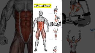 ?️LEG WORKOUT AT HOME fitness viral workout viralvideo youtubeshorts youtube gym