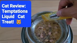 Cat Review: Temptations Liquid Cat Treat for our Picky Eater - healthy food hack by Frolicking Felines 50 views 2 months ago 52 seconds