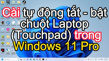 Cách cài tự động tắt hoặc bật chuột cảm ứng laptop hay Touchpad, trong Windows 11 Pro