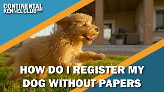 How Can I Register a Dog Without Papers? screenshot 4