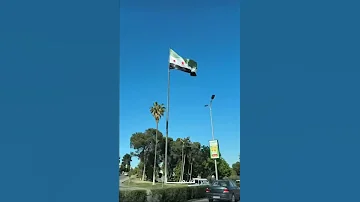 قسما برب العرش هذا عهدنا سوريا دمشق سوريا حرا Syria Shorts 