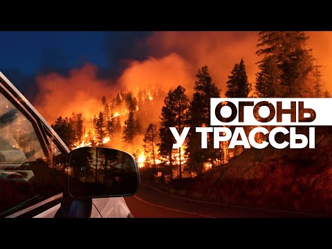 Лесные пожары в Свердловской области добрались до горы Волчиха — видео