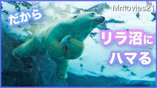 【実はこんなに賢い】カラスに取られないように必死で守るホッキョクグマ「リラ」のがんばり Polar Bear makes an effort