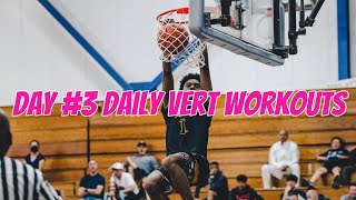 Day #3 Daily Vertical Jump Workouts (Fast results)