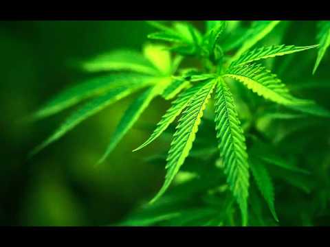 ხვალე -  არ იკლებს კალიკებს))))