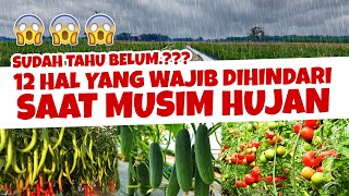 12 HAL YANG WAJIB HINDARI SAAT SERING TERJADI HUJAN | Tanah & Tanaman Subur, Sehat & Lebat