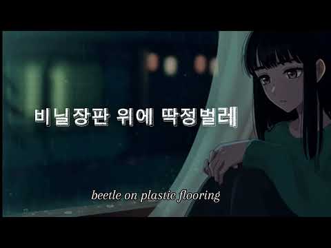 인순이 In Soon Ee 비닐장판의 딱정벌레 Beetle On Vinyl 1987 Lyrics Remix