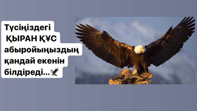 Жыныстық қатынастан кейінгі дымқыл кискалардың фотосуреттері