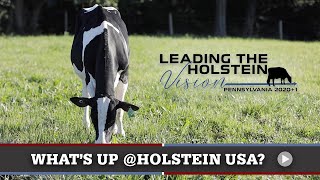 What's Up at Holstein USA: Leading the Holstein Vision