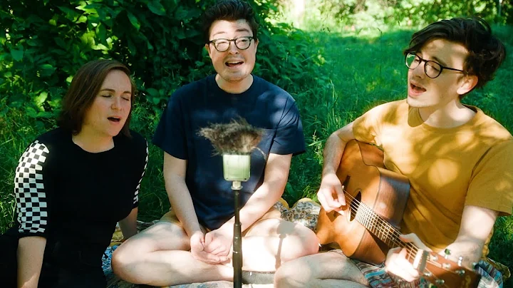 Helplessly Hoping - Crosby, Stills, and Nash Cover...