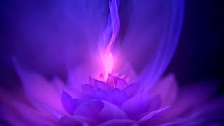 Violet Flame 528Hz Love Frequency Miracle Tone - Transmute Negative Energy - Reiki Music - 12Hr
