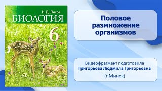 Тема 19. Половое размножение организмов