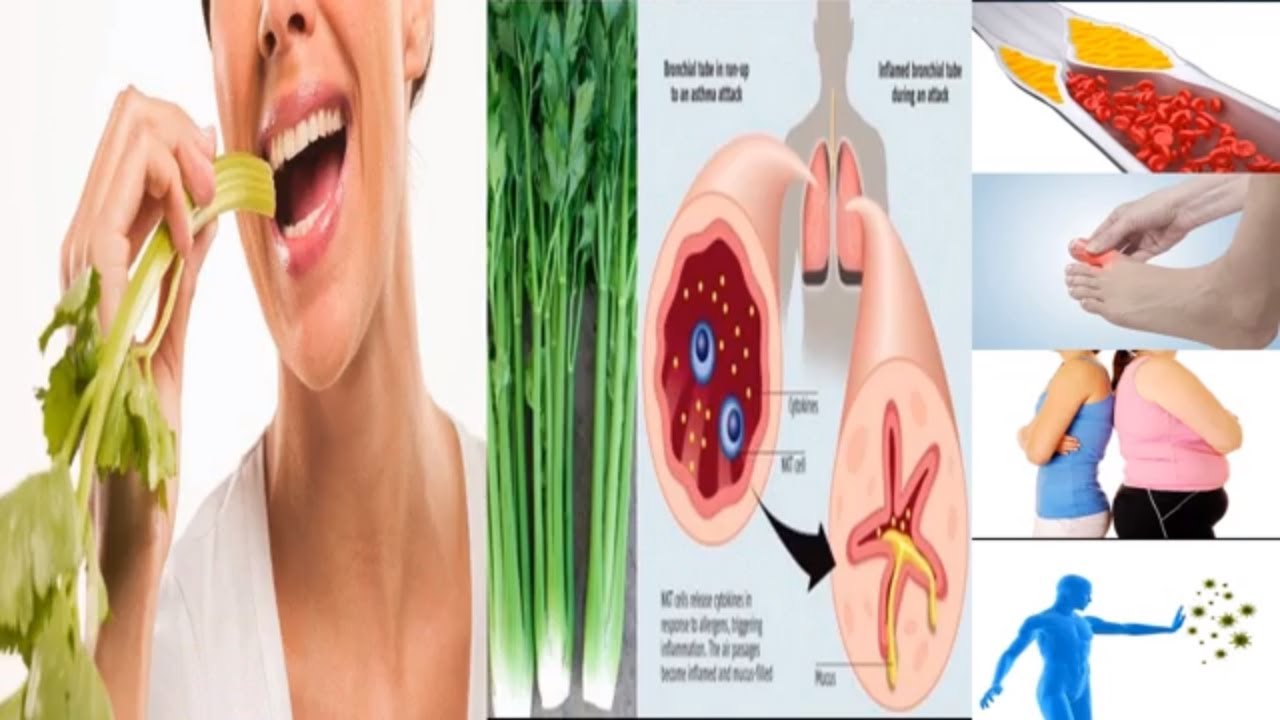 This is what happens to your body when you eat celery every day for a