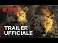 La vita sul nostro pianeta | Trailer ufficiale | Netflix Italia