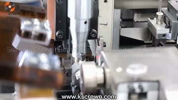 Automated Wire Cutting Stripping and Both Ends Terminal Crimping Machine WL-SFST02