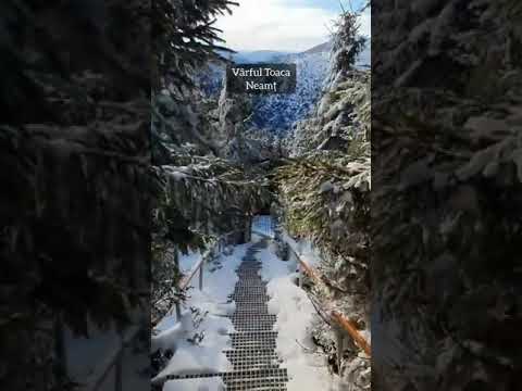 Video: Ce sunt locurile de iarnă?