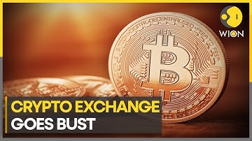 Crypto Chaos: Bittrex files for bankruptcy | World Business Watch | Latest World News | WION