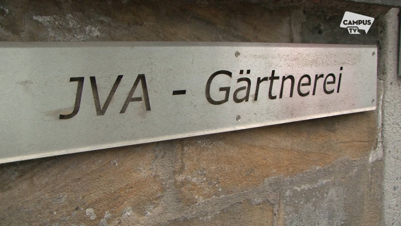 Gemüse aus der JVA Bayreuth