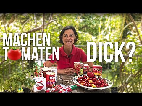 Video: Tomaten Machen Dick – Was Tun?