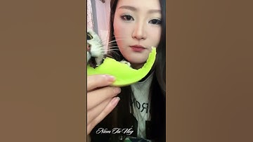 Mèo ăn Dưa Gang – Nội dung khiến bạn muốn xem đi xem lại #cat #funny #cute