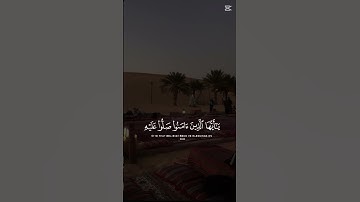 قران كريم | الشيخ بدر التركي #اكسبلور #اكسبلورهاشتاقات #السديس #دويتو #اهميه #ترند #النظافه