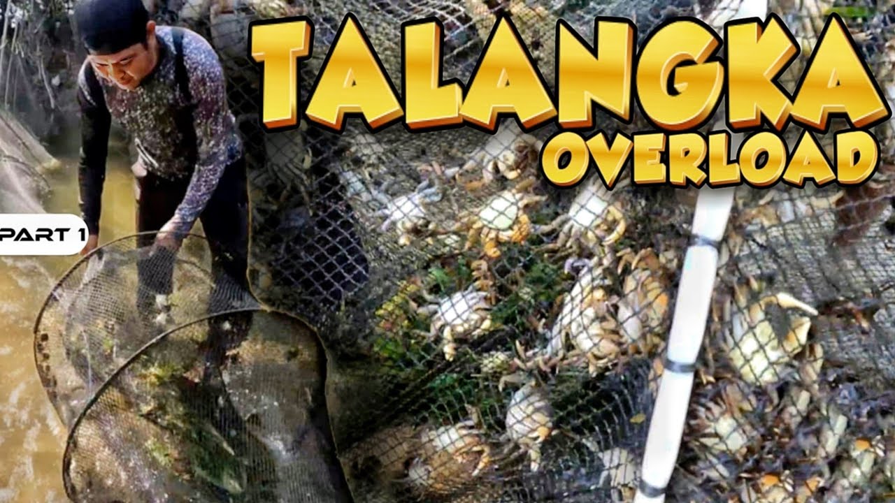 P1 - Napakaraming Talangka - EP1959