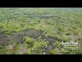 Agusan Marsh Wildlife Sanctuary - Asian Waterbird Census 2022