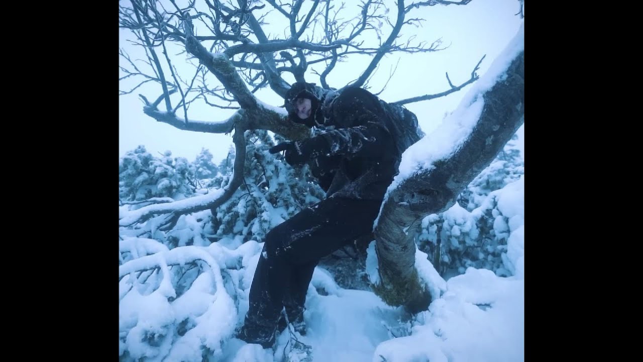 [FREE] KIDZLORI TYPE BEAT 