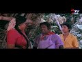 Aavarampoo full movie comedy  goundamani comedy  vineeth  sulakshana  nassar  stv movies