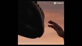 This scene makes me cry a lot 😭💔 Goodbye Toothless 💔 #capcut #httyd3 #toothless #hiccup #shorts