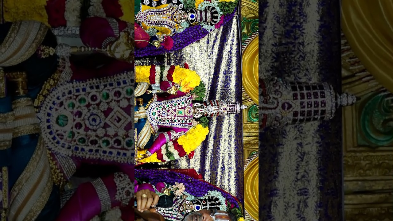 Day 5 Of Patchur Thiruvizha 🤩 - Saami Kalyanam 🙏✨ 