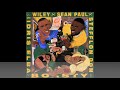 Wiley Sean Paul Stefflon Don Boasty Remix Ft Idris Elba Lyrics